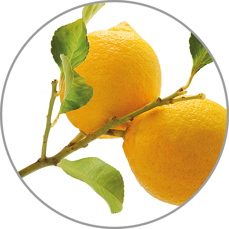 Medisana Vonná esence do aroma difuzérů - citron