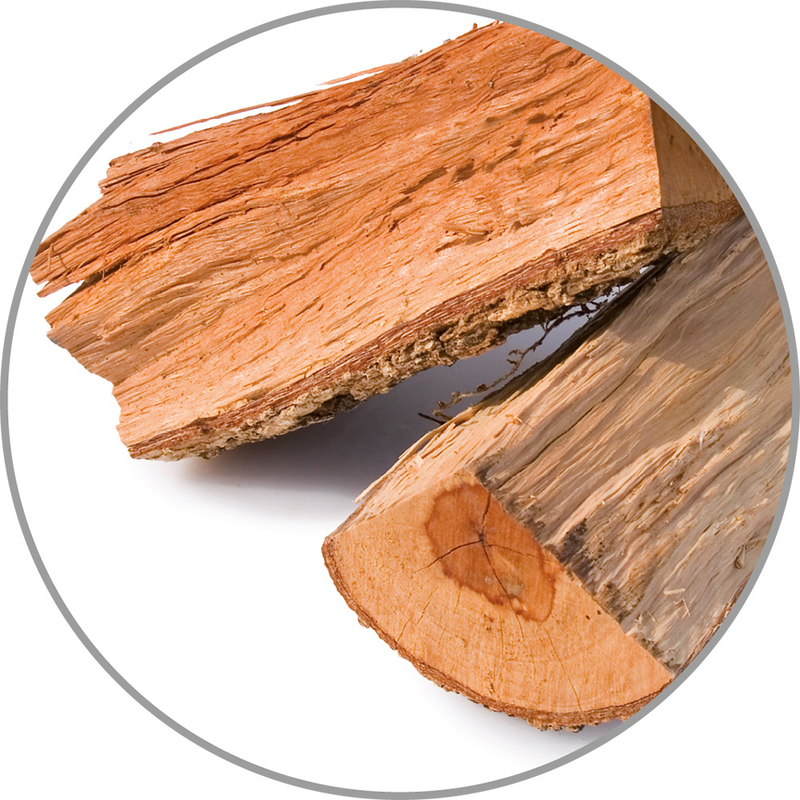Medisana Vonná esence do aroma difuzérů - borové dřevo